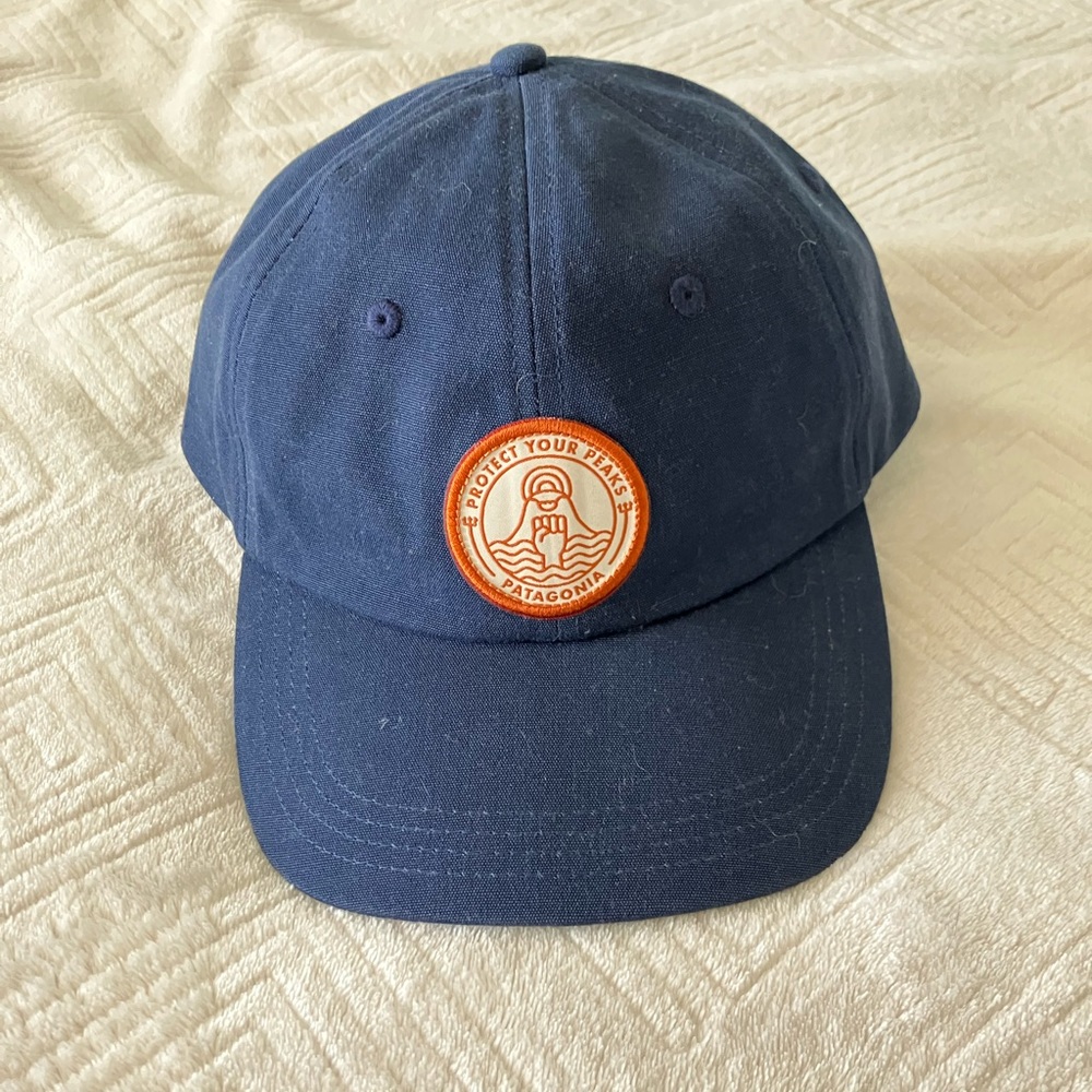 Patagonia ball cap